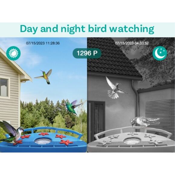 BirdDock Smart Solar Powered Bird Feeder with Camera (Reg.$210) - Picture 6 of 14